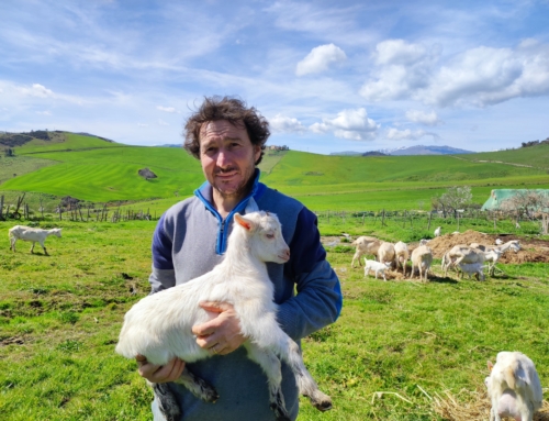 Vivere con gli animali l’allevare capre in controtendenza, la scelta di Francesco Giunta e Vincenza Montana